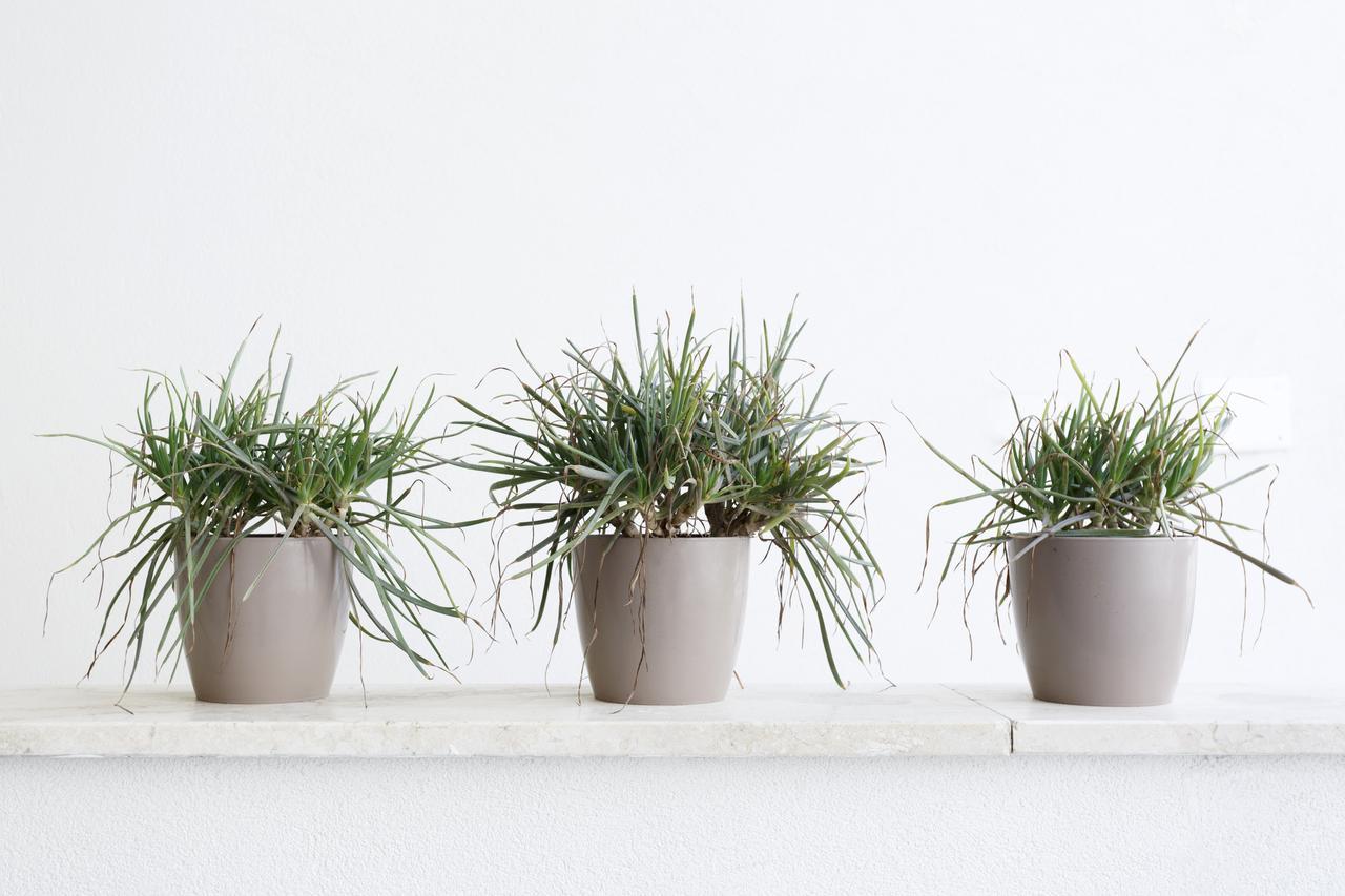 Minimal Rooms กัลลีโปลี ภายนอก รูปภาพ